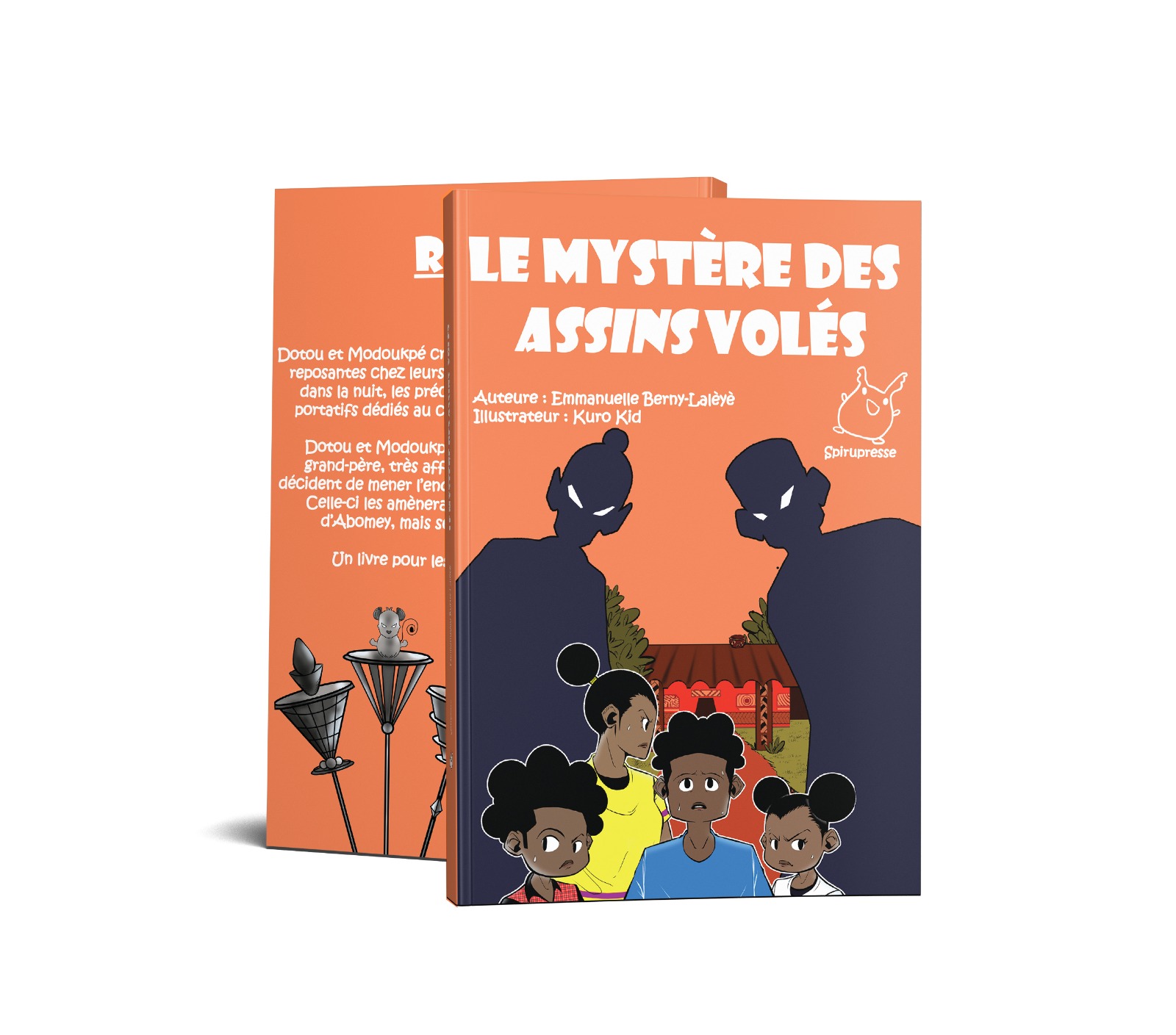Le Mystère des assins volés